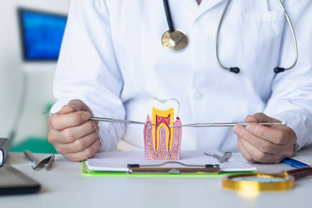 Best Emergency Root Canal Therapy in Brookville, PA